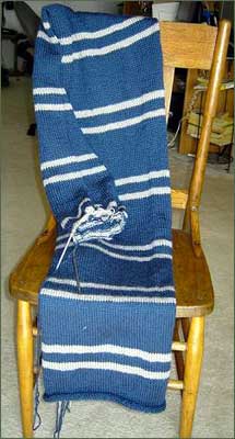 Cindy's Ravenclaw Scarf