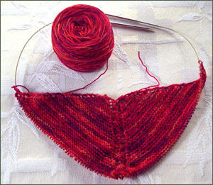 Anne Schaefer Yarn Scarf