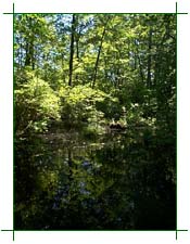Kettle Hole