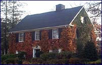 Ivy Covered House